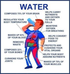 Effects of water in human body